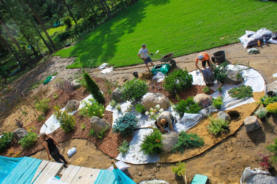 Газоны Ташкент, посев газона в Ташкенте, ландшафтный дизайн Ташкент, рулонный газон в Ташкенте, продажа готового газона Ташкент, газон, семена газонных трав в Ташкенте, ландшафтное проектирование Ташкент, ландшафтные работы, благоустройство территории, озеленение Ташкент, дизайн участка, благоустройство участка, ландшафтные хитрости, озеленение участка, ландшафтный проект, дизайн интерьера ташкент